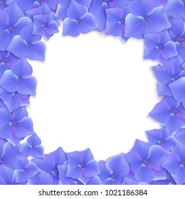 Frame of beautiful blue hydrangea on white background. Vector illustration