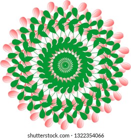 frame of beautiful flora