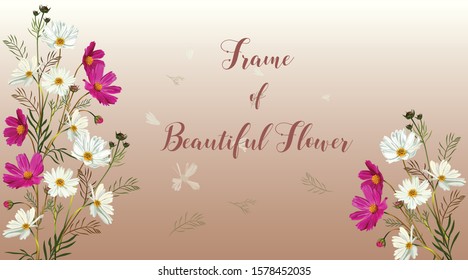 Frame of beautiful flower with starburst or cosmos flowers for greeting messages on a special day.