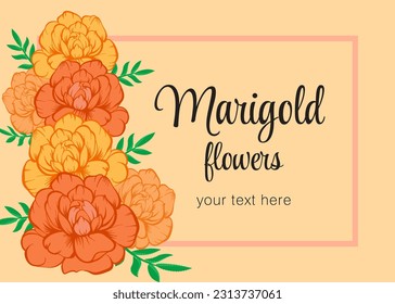 Frame with beautiful Marigolds flowers on a light orange background with place for text. Chinese mid autumn festival concept with marigolds.