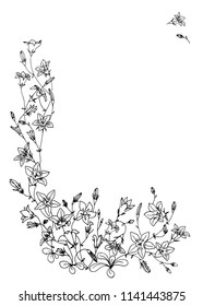 frame with bellflowers , hand-drawn vector illustration