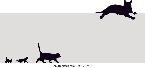 Frame with the black cats vector illustrations