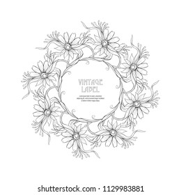 Frame, border in art nouveau style  with place for text. Vintage, old, retro style. Vector illustration. Outline hand drawing. Good for coloring page for the adult coloring book.