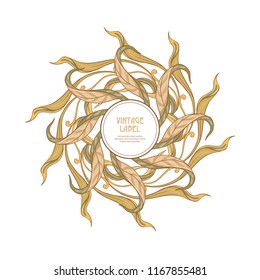 Frame, border in art nouveau style Isolated on white background.. Label for products or cosmetics. Vintage, old, retro style. Stock vector illustration.