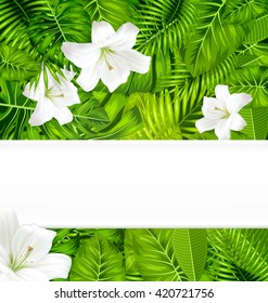 Frame border background branch with tropical leaves and white flowers lily, space for text, design template - vector
