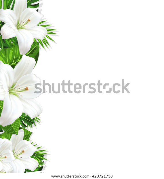 熱帯の葉と白い花のリリーを持つフレーム境界の背景 テキスト用のスペース デザインテンプレート ベクター画像 のベクター画像素材 ロイヤリティフリー
