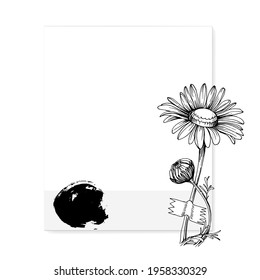 Frame or Border for fashion sale social media post design template with Minimalist botanical style you can use for greeting card template, special offer sale, black friday. Chamomile square banners. 