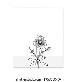 Frame or Border for fashion sale social media post design template with Minimalist botanical style you can use for greeting card template, special offer sale, black friday. Chamomile square banners. 