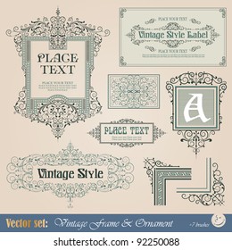 Frame, border, ornament and element in vintage style