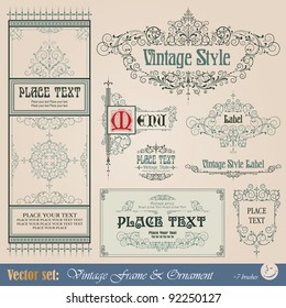 Frame, border, ornament and element in vintage style