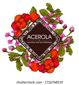 Frame with branch acerola cherry, fruit, flower . Detailed hand-drawn sketches, vector botanical illustration.