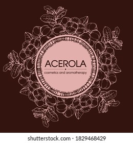 Frame with branch acerola cherry, fruit, flower . Detailed hand-drawn sketches, vector botanical illustration.