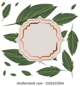 frame with branch and leaf isolated icon vector illustration design