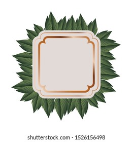 frame with branch and leaf isolated icon vector illustration design