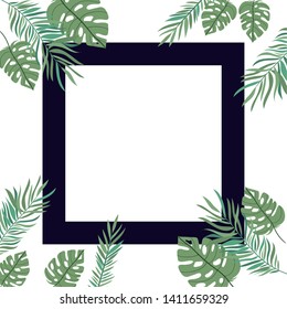 frame with branch and leaf of summer