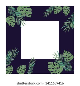 frame with branch and leaf of summer