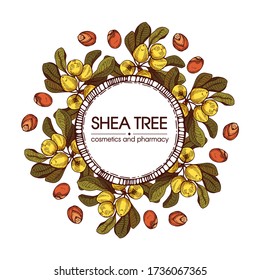 Frame with branch Shea tree with fruits, nuts, leaves and Shea butter. Detailed hand-drawn sketches, vector botanical illustration. For cosmetics, medicine, aromatherapy.
