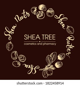 Frame with branch Shea tree with fruits, nuts, leaves and Shea butter. Detailed hand-drawn sketches, vector botanical illustration. For cosmetics, medicine, aromatherapy. 