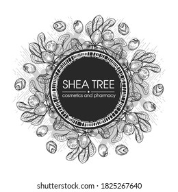 Frame with branch Shea tree with fruits, nuts, leaves and Shea butter. Detailed hand-drawn sketches, vector botanical illustration. For cosmetics, medicine, aromatherapy. 