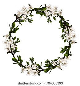 frame of the branches of the Apple tree sketch vector graphics color picture