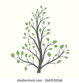 Frame of branches with green leaves on a light background