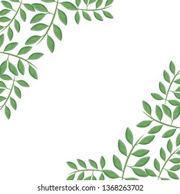 frame of branches with leafs natural