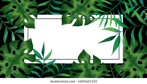 frame with branches and leafs tropical vector illustration design
