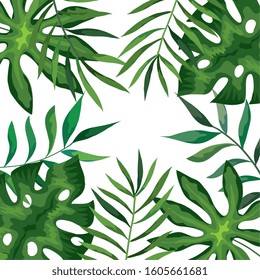 frame with branches and leafs tropicals vector illustration design
