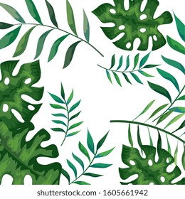 frame with branches and leafs tropicals vector illustration design