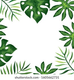 frame with branches and leafs tropicals vector illustration design