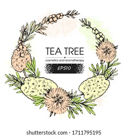 Frame with branches with leaves and flowers of tea tree . Detailed hand-drawn sketches, vector botanical illustration. 