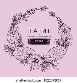 Frame with branches with leaves and flowers of tea tree . Detailed hand-drawn sketches, vector botanical illustration. 