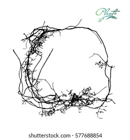 Frame of branches, roots. Branches twisted ring. Detailed vector illustration.