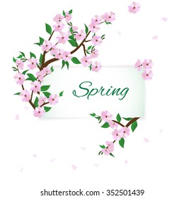 frame of branches of spring flowering trees