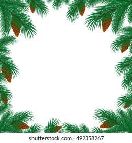 frame with branches of spruce. 