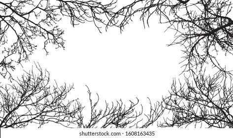 Frame Branches Tree Silhouette Branches Different Stock Vector (Royalty ...