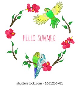 Frame with budgies and hibiscus flowers. Lettering hello summer. Vector graphics.