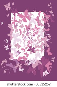 The frame with butterflies on the cherry background