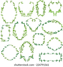 frame by sprigs of thyme, hand drawn design element