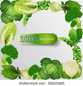 Frame with cabbage. Vector illustration. Healthy eating.Organic diet.