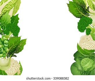 Frame with cabbage. Vector illustration. Healthy eating.Organic diet.