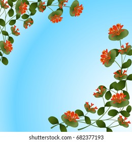 frame of caprifoglio flowers and leaves on a blue background
