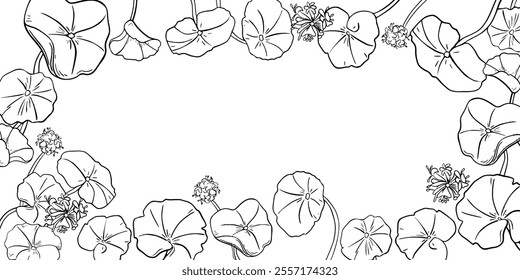 Frame of centella asiatica medicinal plant black white vector illustration on white. Pennywort, gotu kola rounded leaves on board hand drawn botanical line art for packaging, label herbal extract.