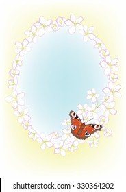 frame of the cherry blossom and butterfly, vector illustration