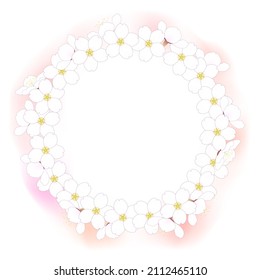Frame of cherry blossom wreath on white background  