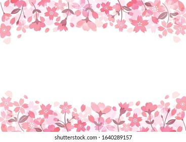 Frame of the cherry blossoms