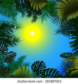 Frame circle palms. vector