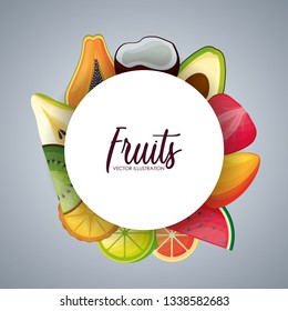 frame circular with fresh fruits