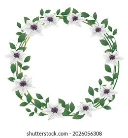 frame of  the clematis flower illustration
