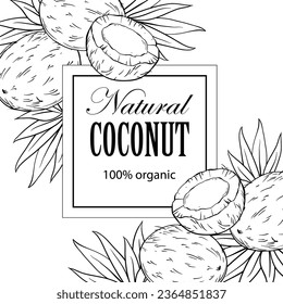 Frame with coconuts and tropical leaves hand drawn sketch vector illustration.